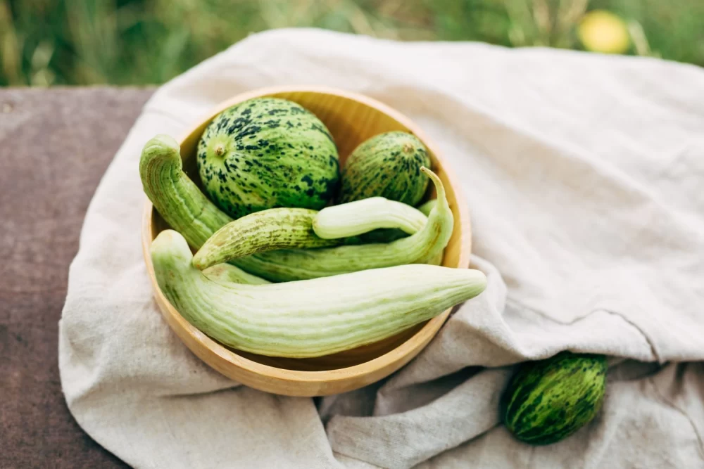 مربای خیار چنبر