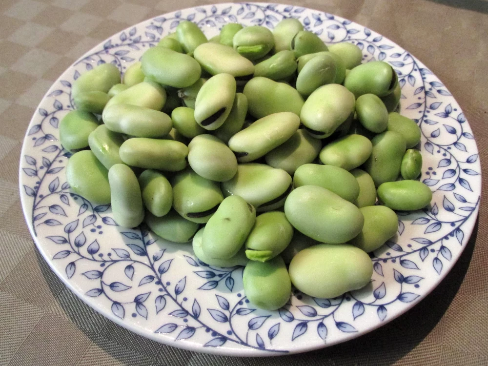 روش پخت و تهیه باقلا