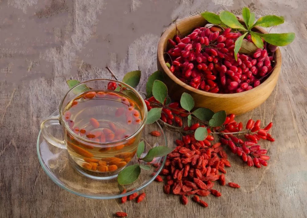 طرز تهیه لیموناد زرشک