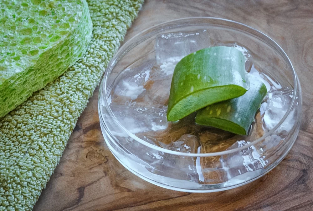 نگهداری ژل آلوئه ورا