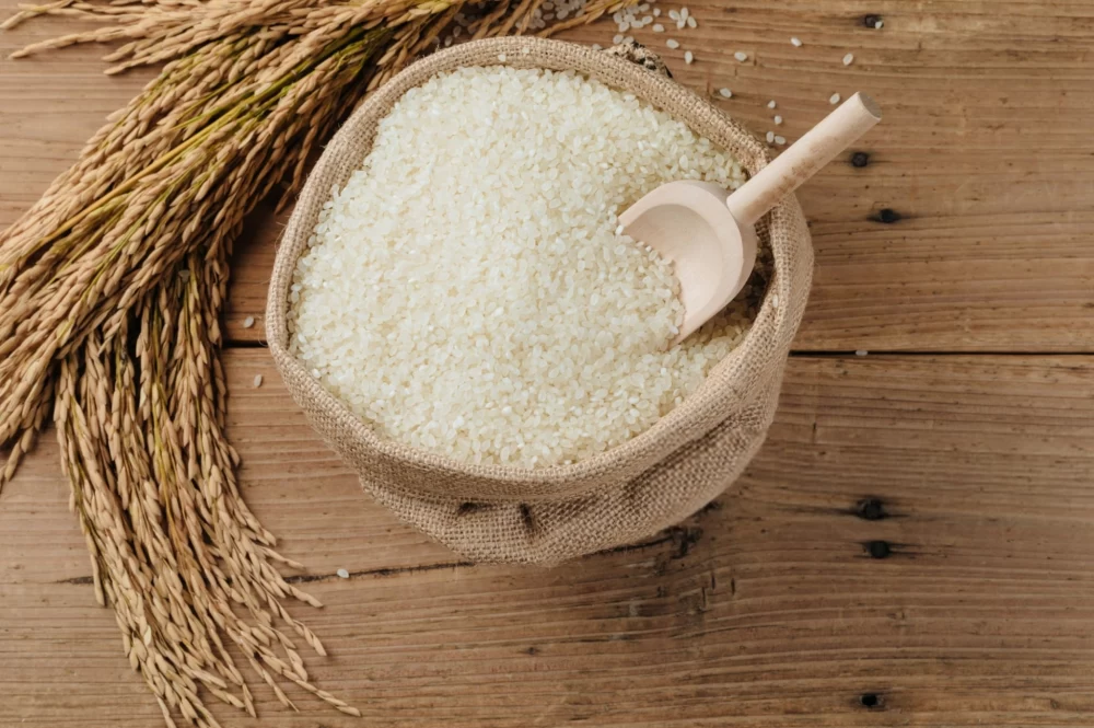 طول عمر برنج