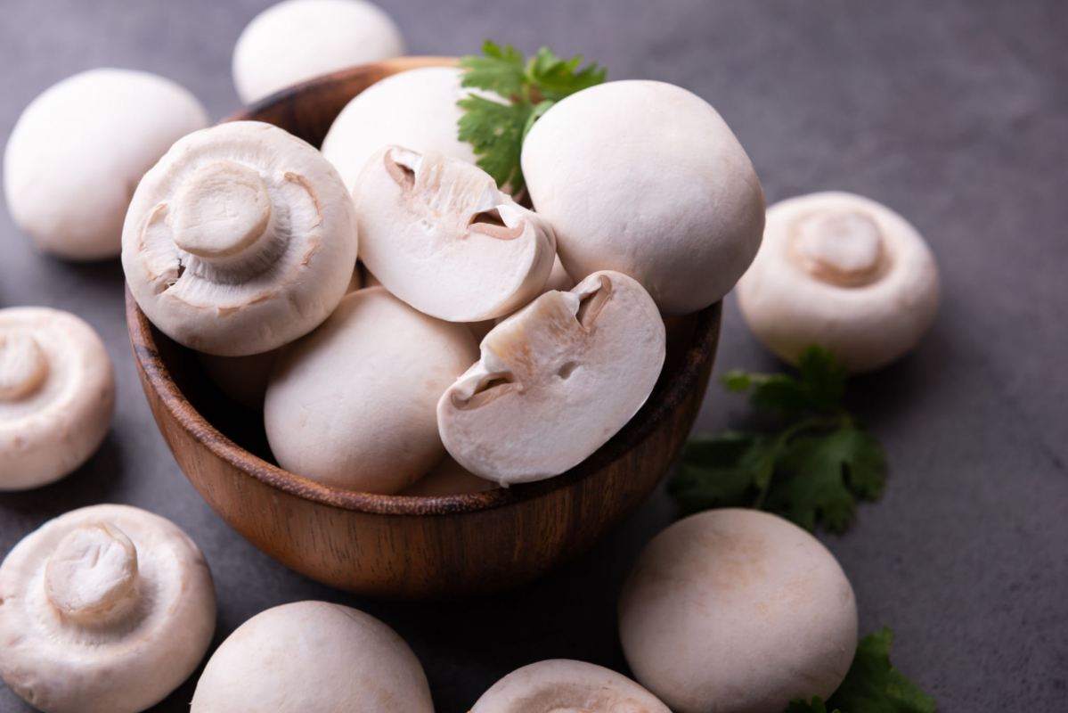 روش های نگهداری قارچ