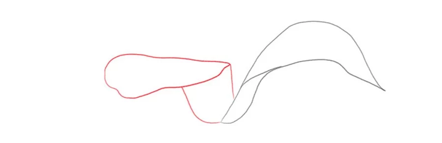 اموزش نقاشی