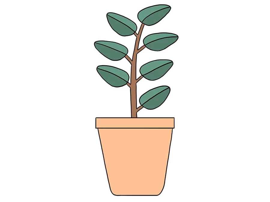 نقاشی گلدان گیاه