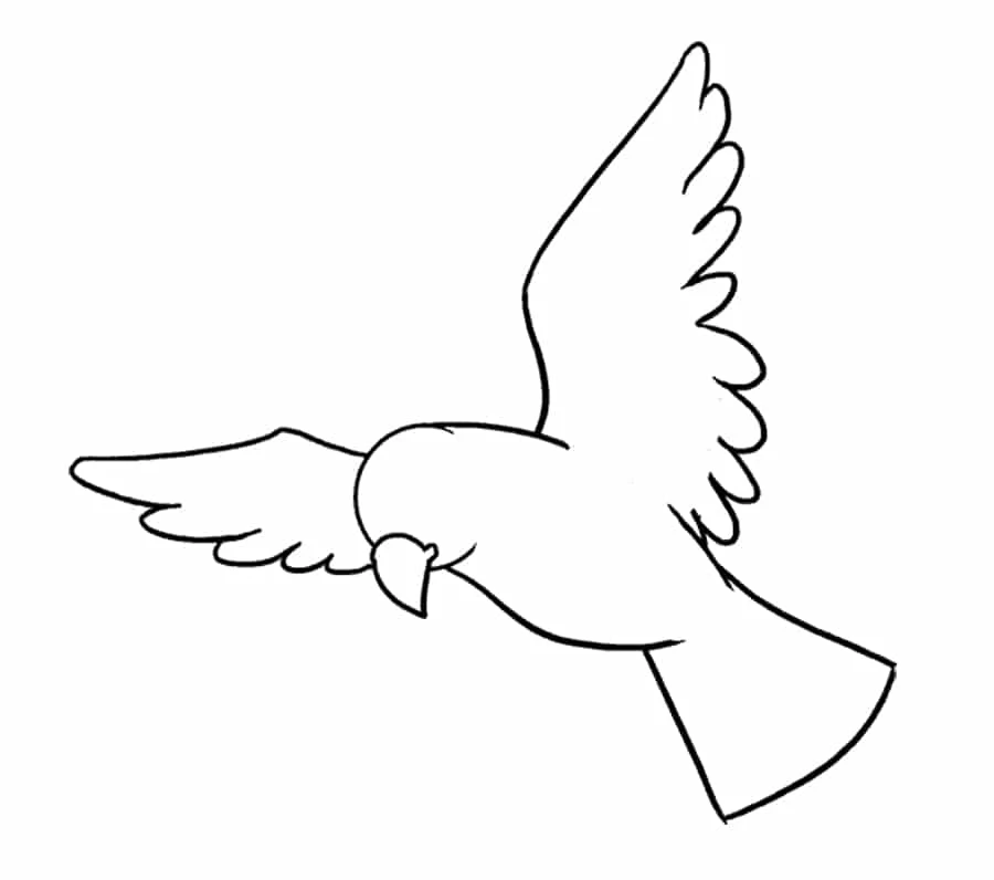 نقاشی پرنده