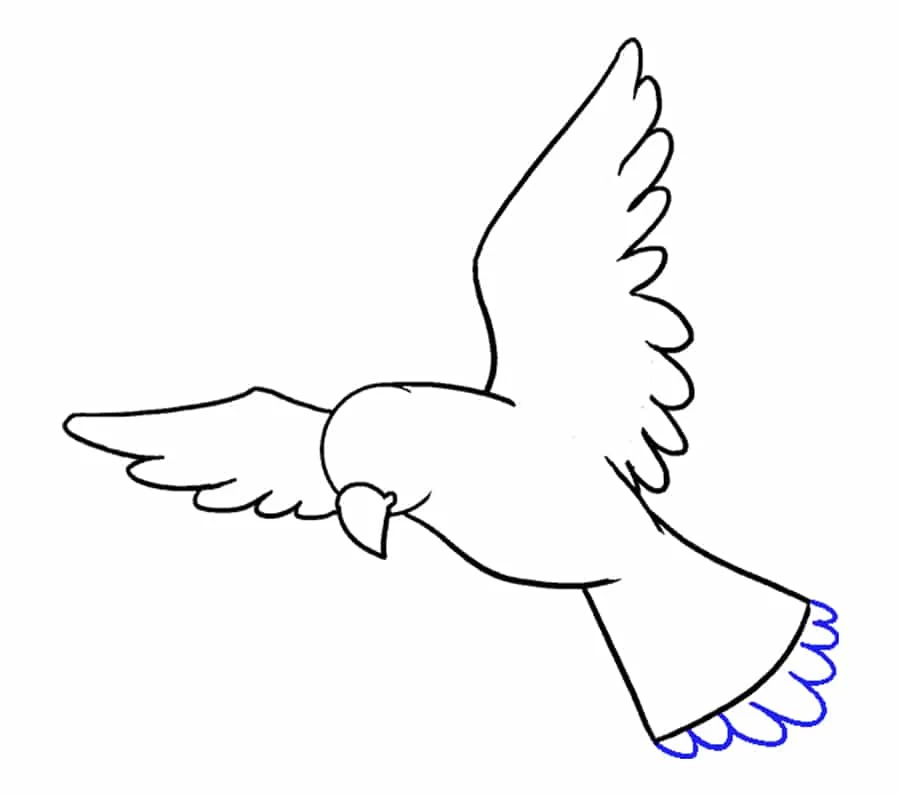 آموزش نقاشی پرنده