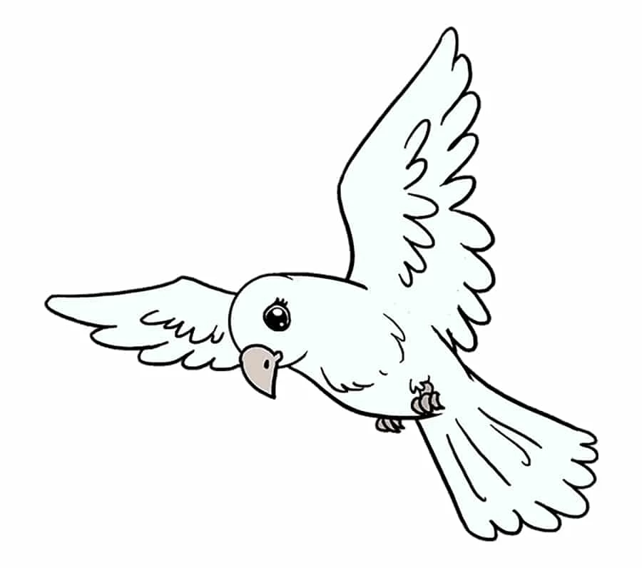 نقاشی پرنده زیبا