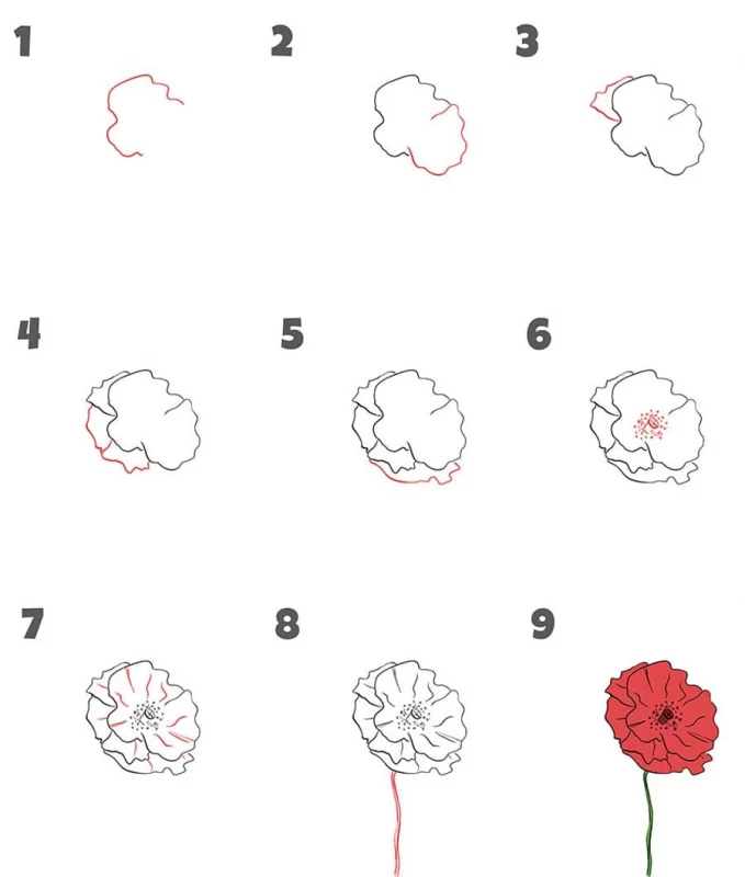 آموزش نقاشی