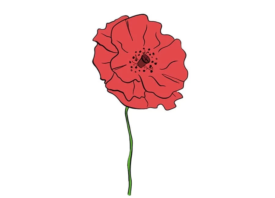 نقاشی گل خشخاش