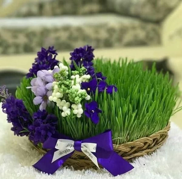 سبزه عید جالب
