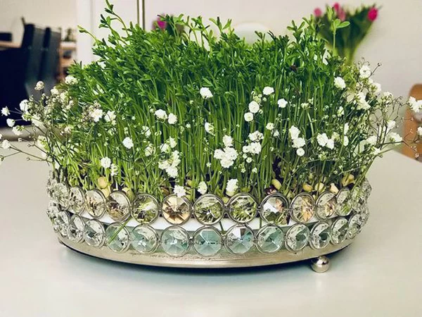 سبره عید عروس