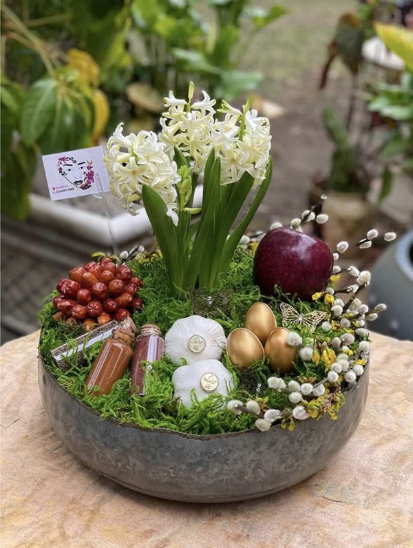 سبزه عید 1404