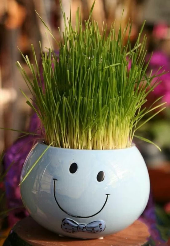 سبزه عید