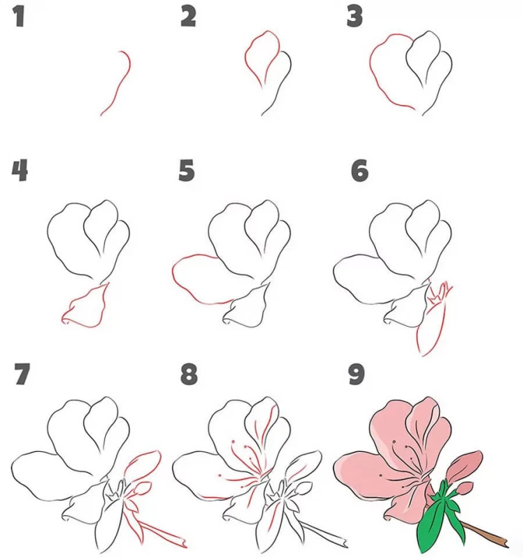آموزش نقاشی