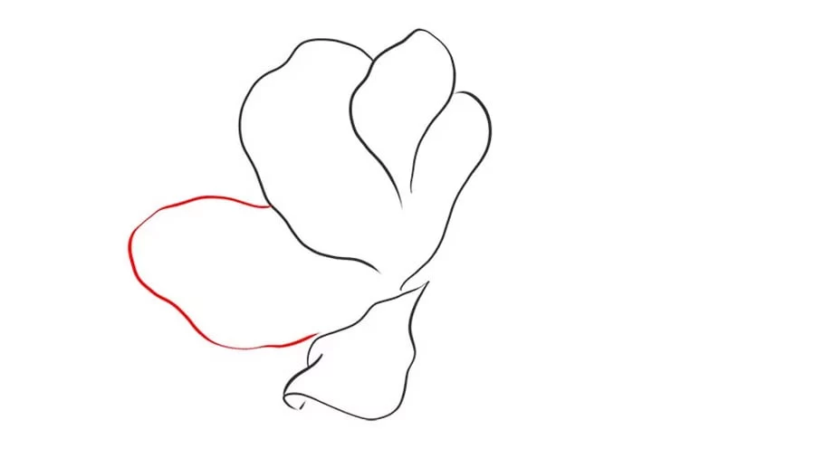 نقاشی زیبا