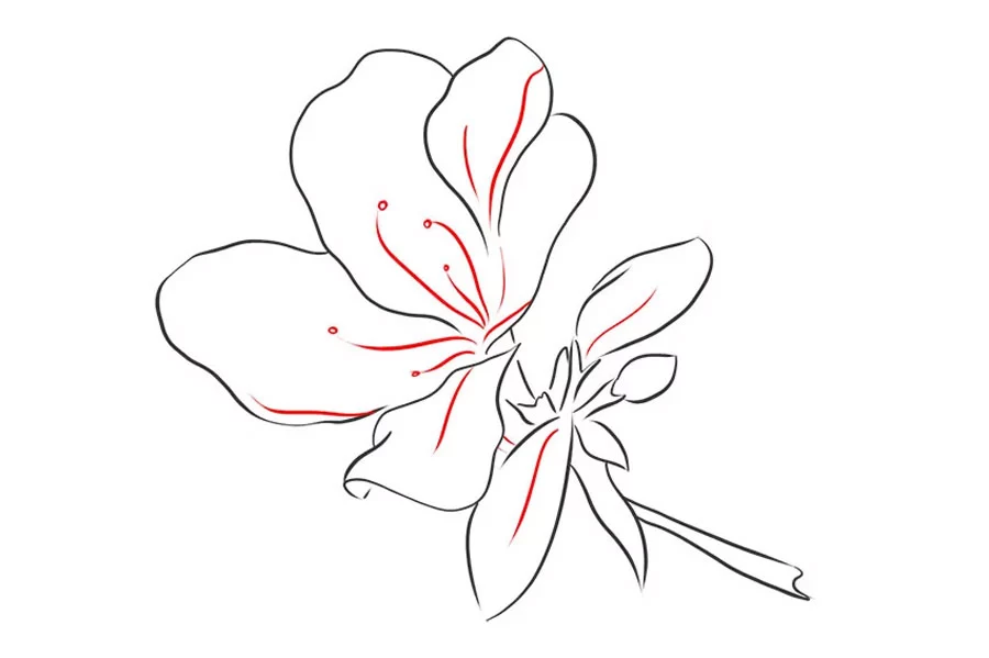 نقاشی خفن