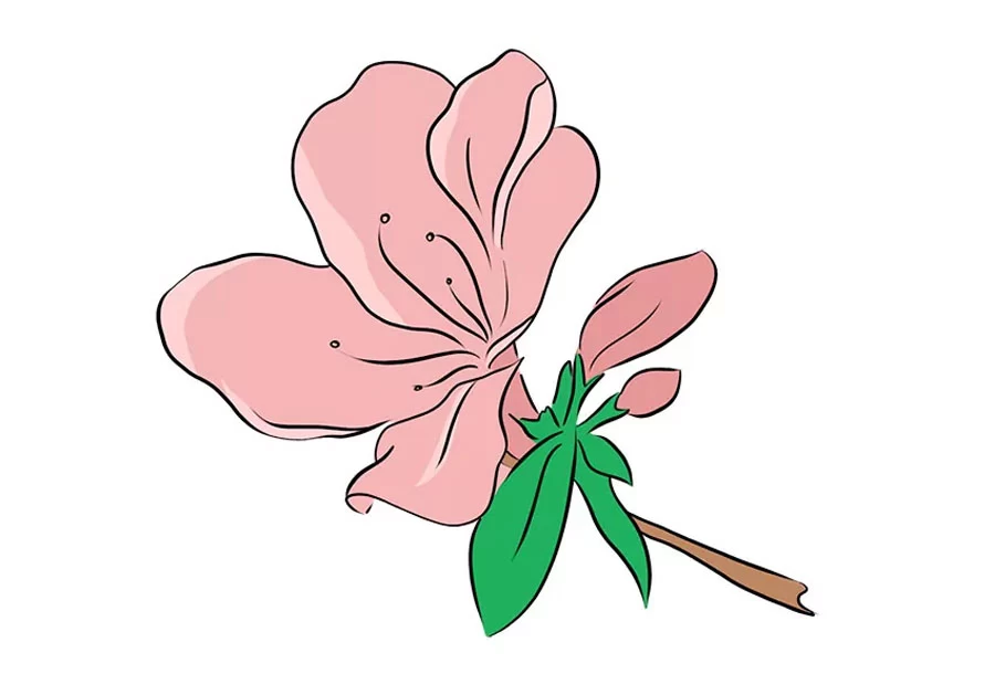 نقاشی گل زیبا