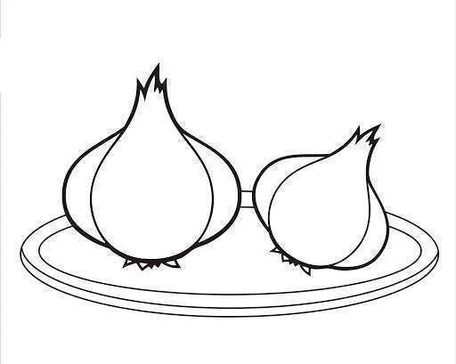 طرح رنگ آمیزی سیر