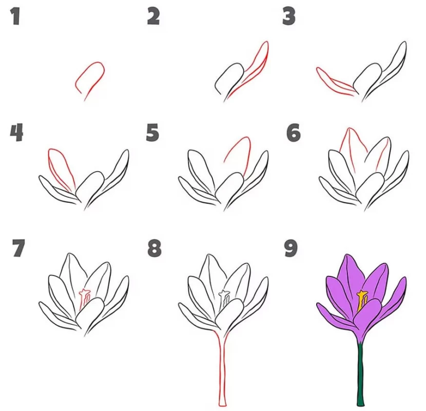 آموزش نقاشی