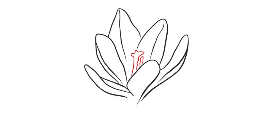 نقاشی باحال