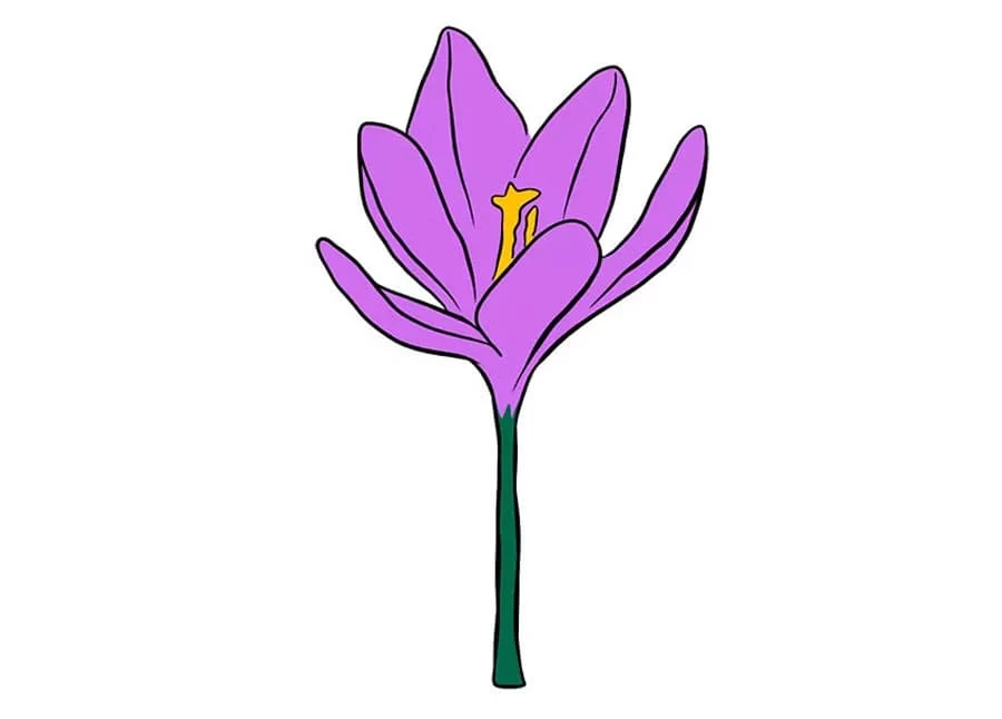 نقاشی گل بنفش