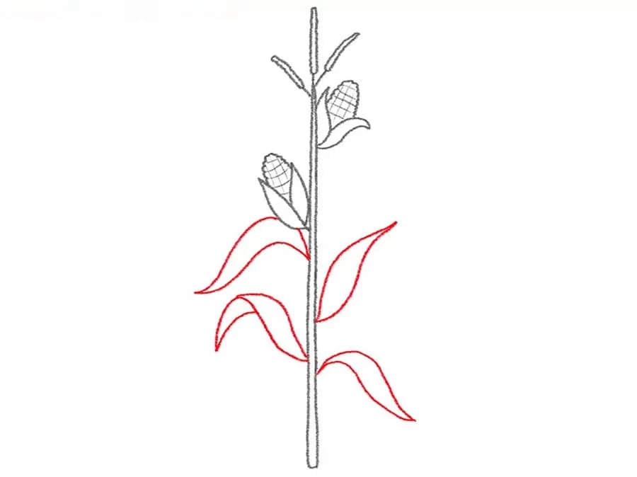 نقاشی زیبا
