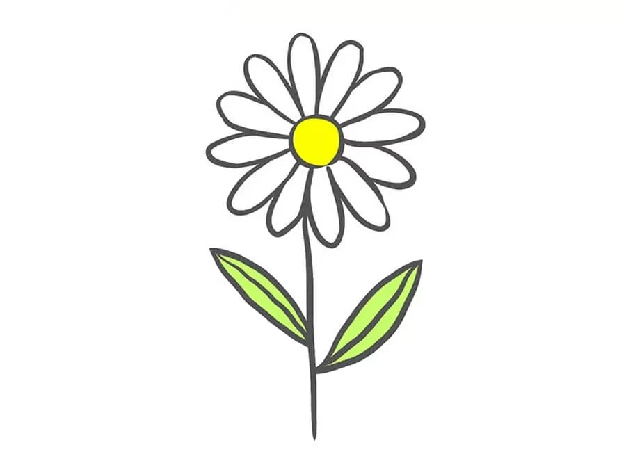 نقاشی گل بابونه