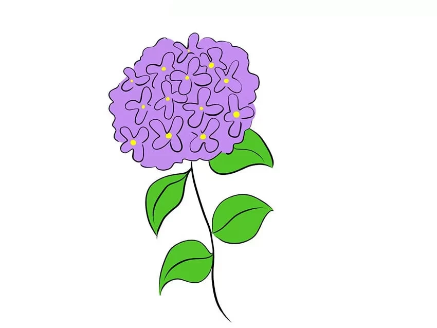 نقاشی گل ادریسی