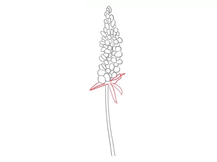 نقاشی