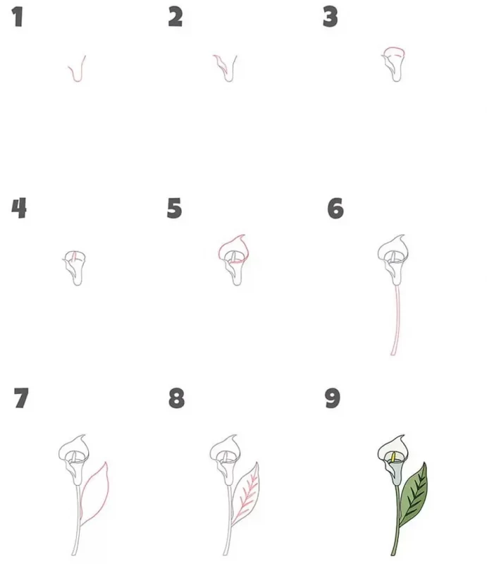 آموزش نقاشی