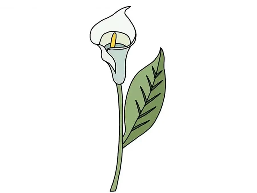 نقاشی گل شیپوری