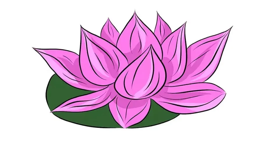 نقاشی نیلوفر آبی