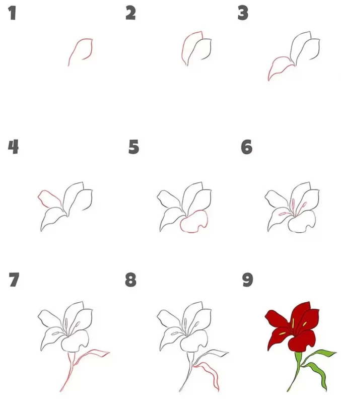آموزش نقاشی