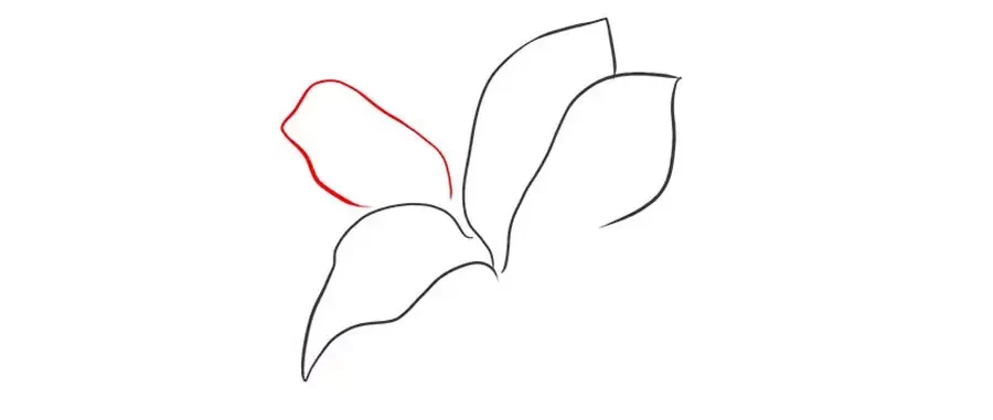 نقاشی آسان