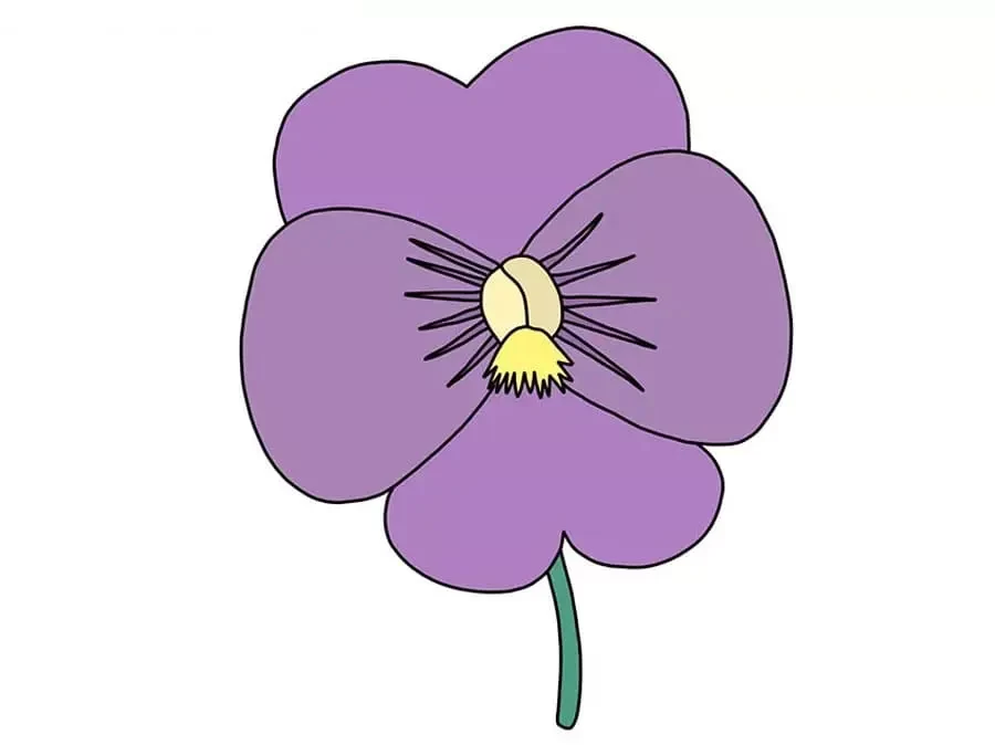 نقاشی گل پانسی