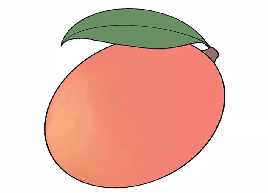 نقاشی میوه انبه