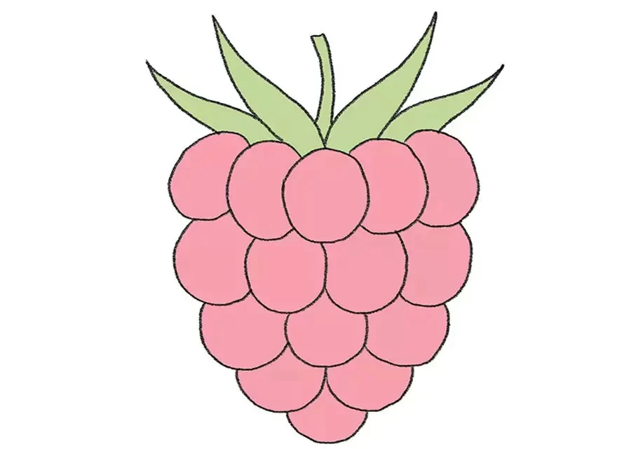 نقاشی تمشک