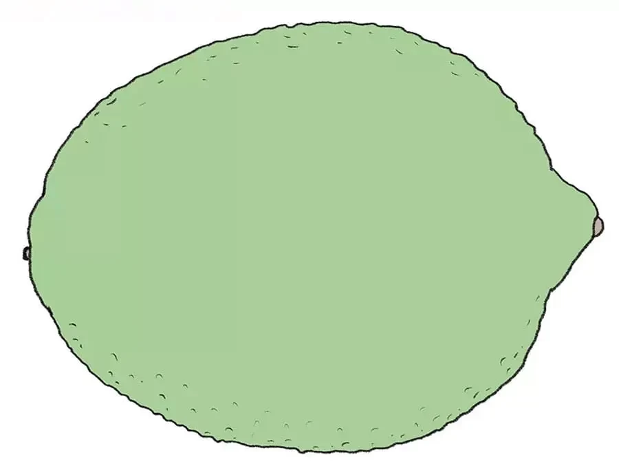 نقاشی لیمو