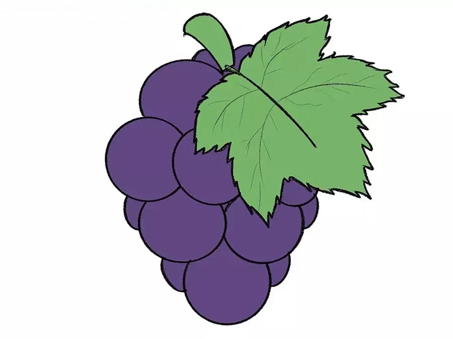 نقاشی انگور
