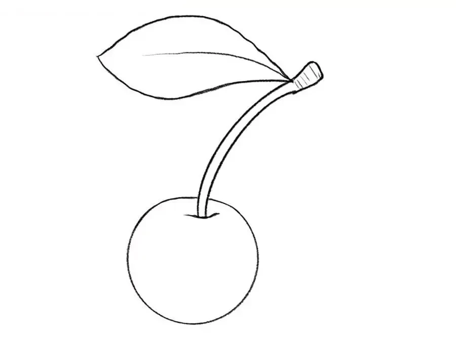 نقاشی میوه
