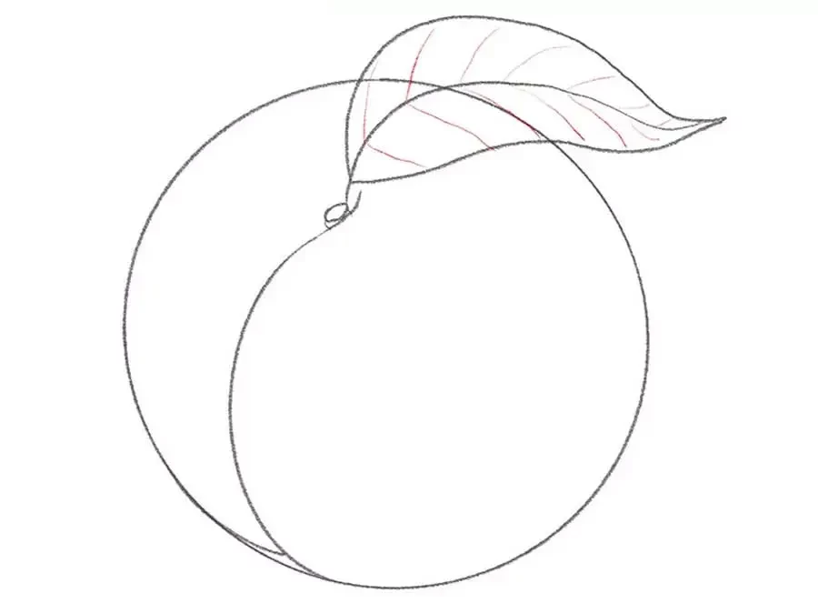 نقاشی