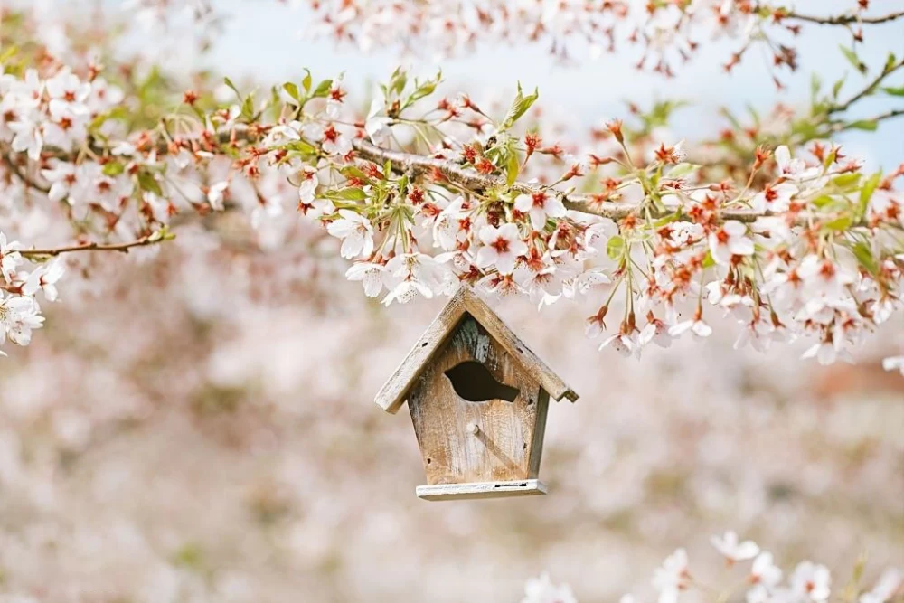 ضرب المثل برای بهار