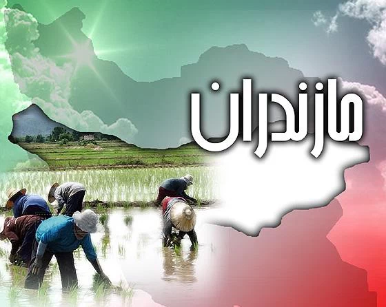 عکس روز مازندران