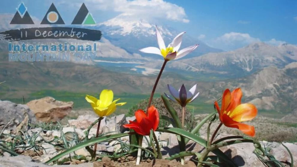 عکس روز جهانی کوهستان