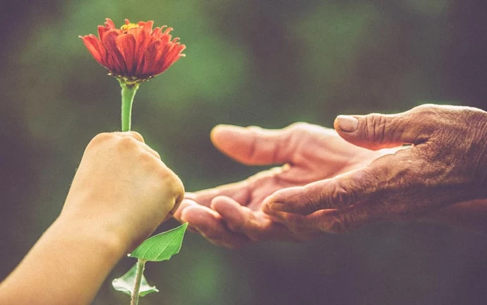 تبریک روز جهانی ادب و احترام به انگلیسی