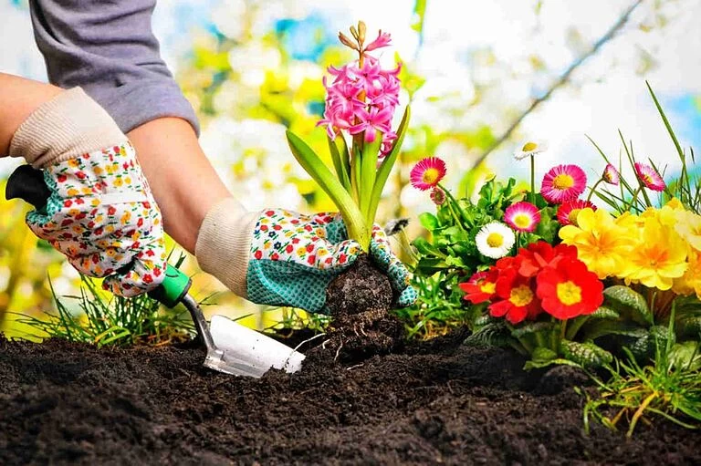 تبریک روز جهانی باغبانی به عربی