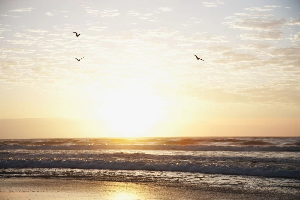 عکس دریا در شب