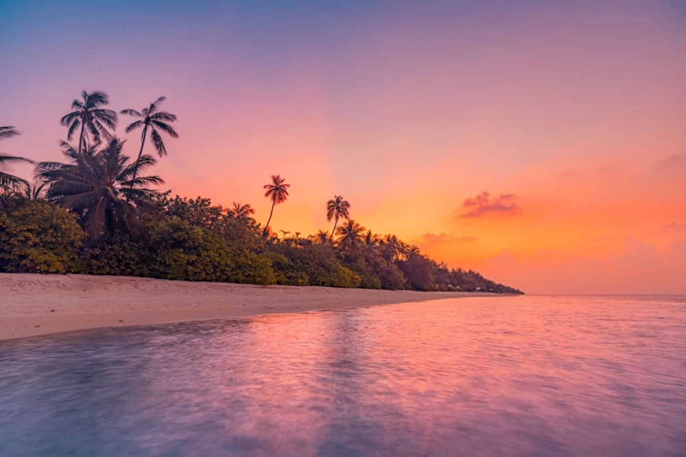 عکس دریا در شب