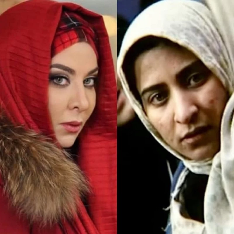 فقیهه سلطانی کیست ؟