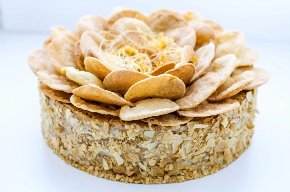 عکس شیرینی ناپلئونی